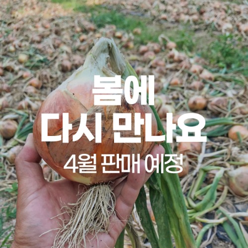 [소소한농장] 양파 15kg